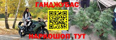 стаф Кандалакша
