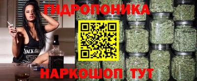 амф Канаш