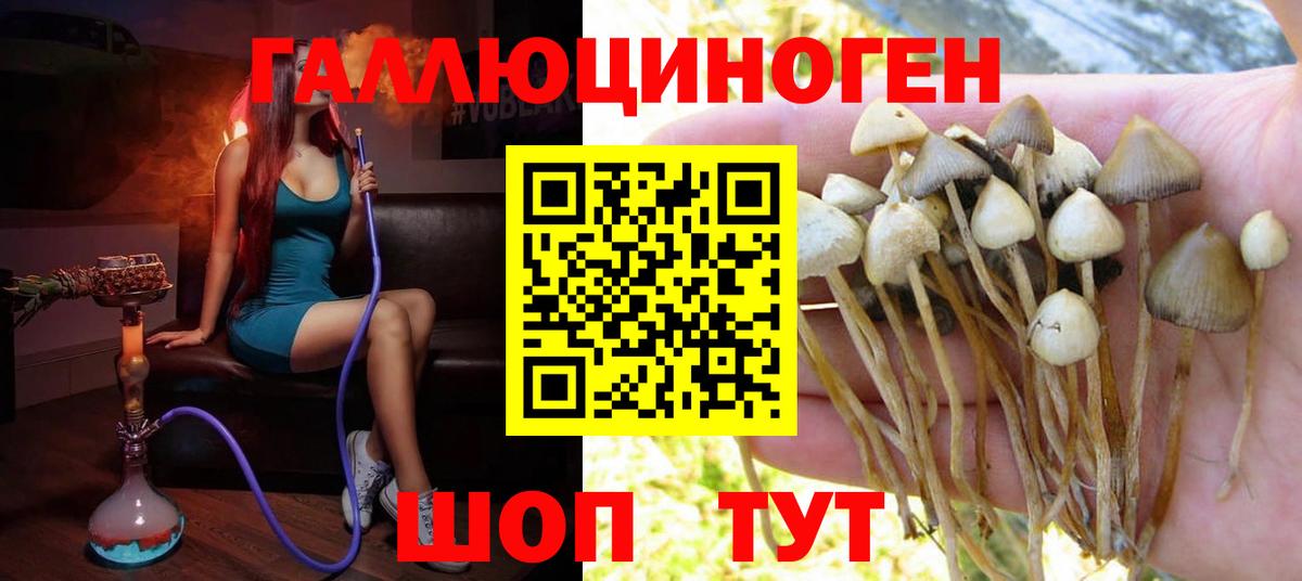 Галлюциногенные грибы Psilocybe  Галлюциногенные грибы Psilocybine cubensis  Люберцы  купить наркотики цена  Вход с VPN 