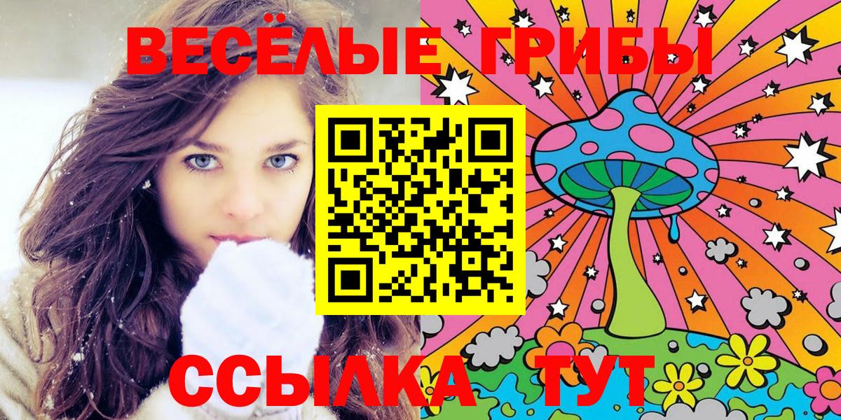 Псилоцибиновые грибы GOLDEN TEACHER Люберцы